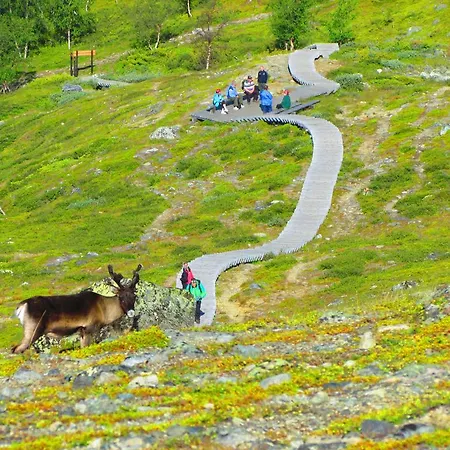 Haltinmaa Cottages-2